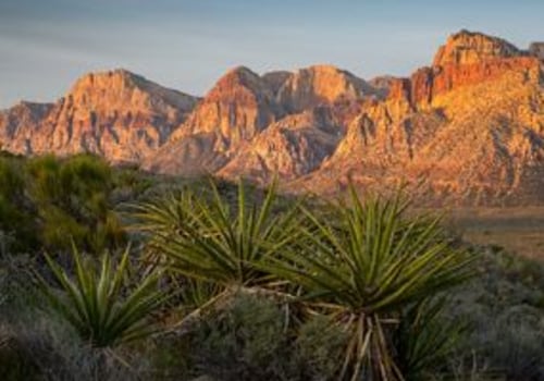 The Power of Grassroots Organizing and Volunteer Efforts in Political Campaigns in Clark County, Nevada